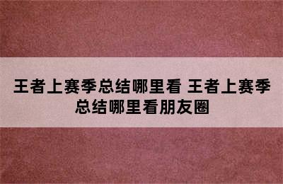 王者上赛季总结哪里看 王者上赛季总结哪里看朋友圈